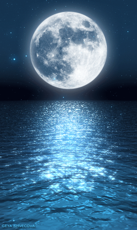 460_770竖版 竖屏gif 动态图 动图