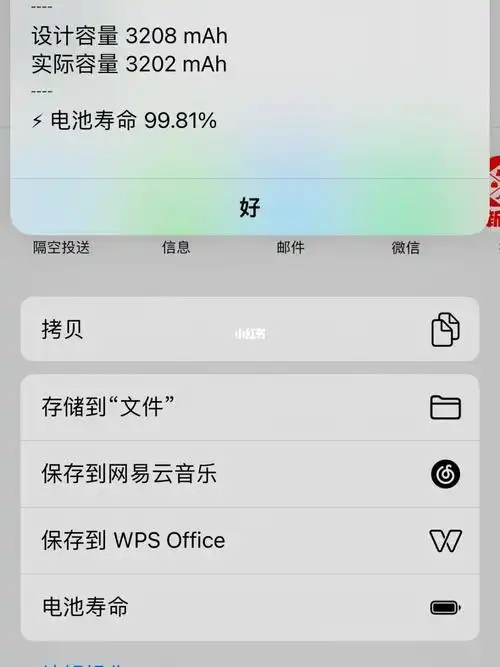 苹果13电池容量百分之99