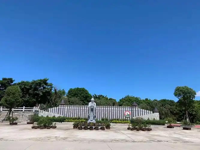 风雨同舟 再铸辉煌---龙海市浮宫中学高考喜讯