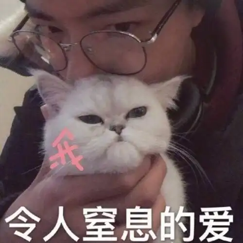 如何用一个隐晦的头像表达喜欢肖战