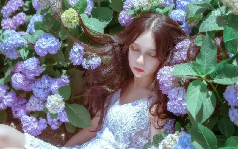 清纯美女花海写真高清桌面壁纸