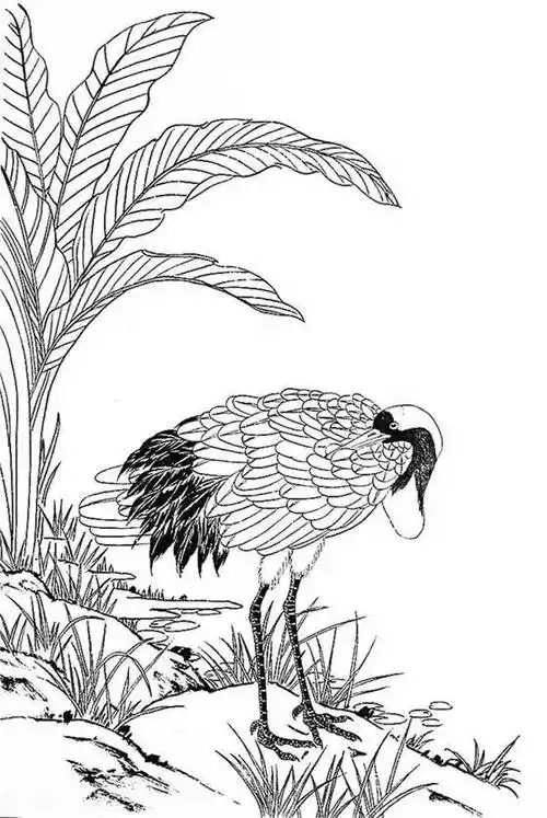 素材| 最全的白描仙鹤