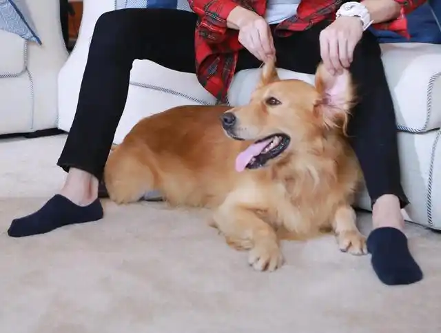 白敬亭夏至未至黑色船袜一