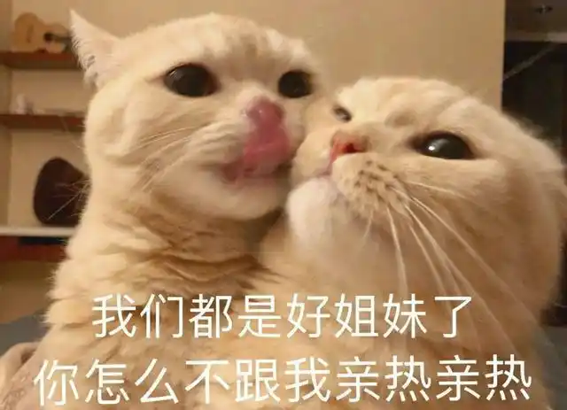 表情包~偷偷露出龟头