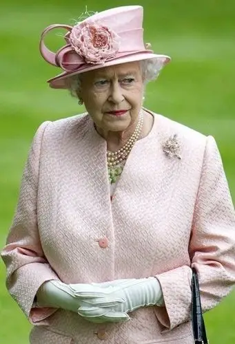 伊丽莎白二世的服饰仍是精彩亮点(图20)