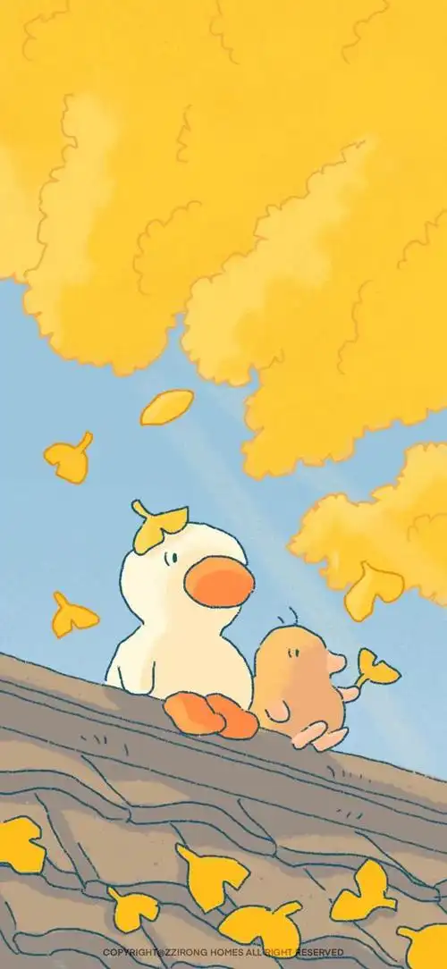 壁纸逼格超高的全面屏壁纸