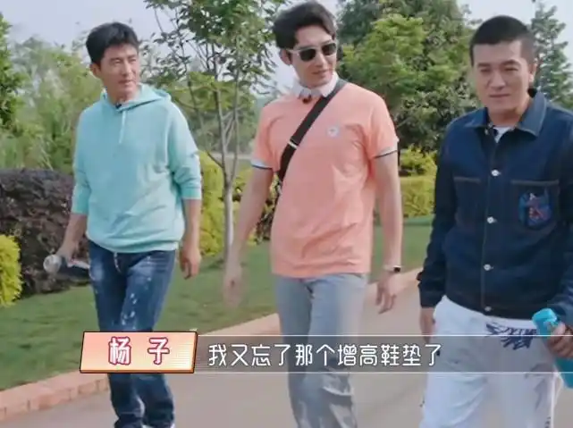 郭晓冬的官方身高是178cm,杨子的官方身高是178cm