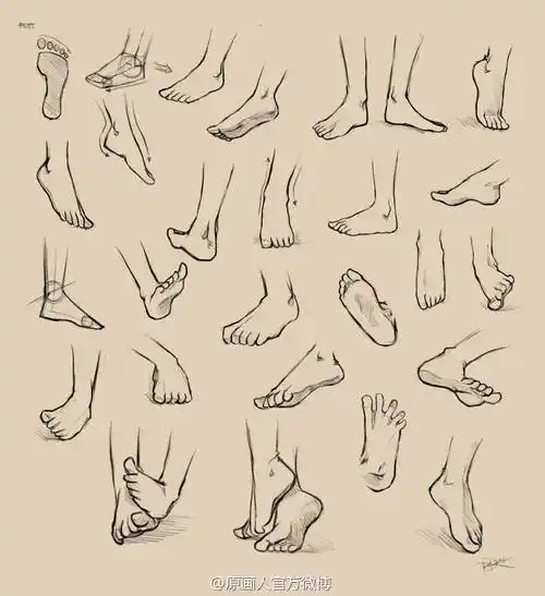 绘画参考各种画脚教程来袭