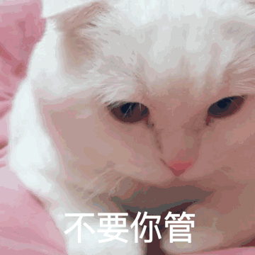 你有没有想我的表情包