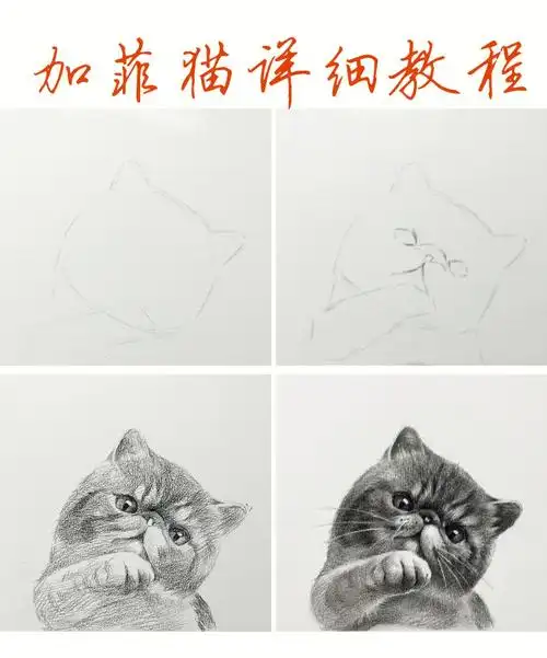 笔记灵感  #素描动物  #素描猫咪  #猫咪  #素描教程  #零基础学画画