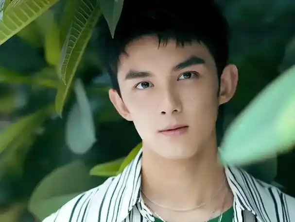 20岁吴磊颜值被网友吐槽长残了(年纪不大绯闻不少)(17)