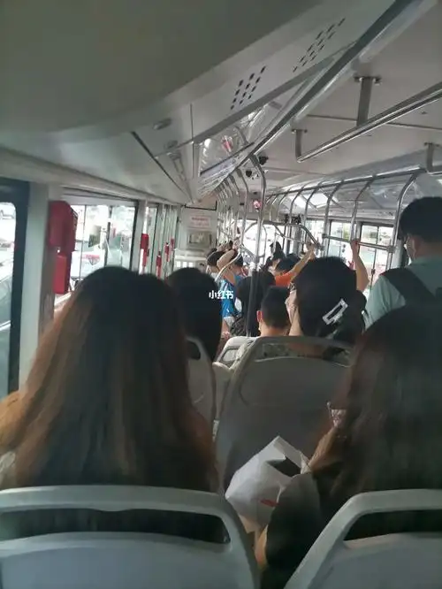 公交车最后一排太幸福了