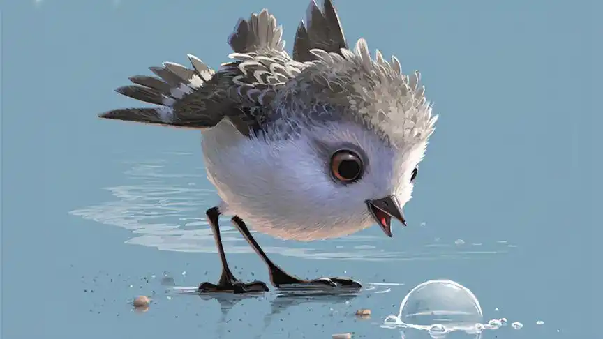 鹬#第89届奥斯卡金像奖 最佳动画短片 温暖且治愈最佳动画短片-动漫