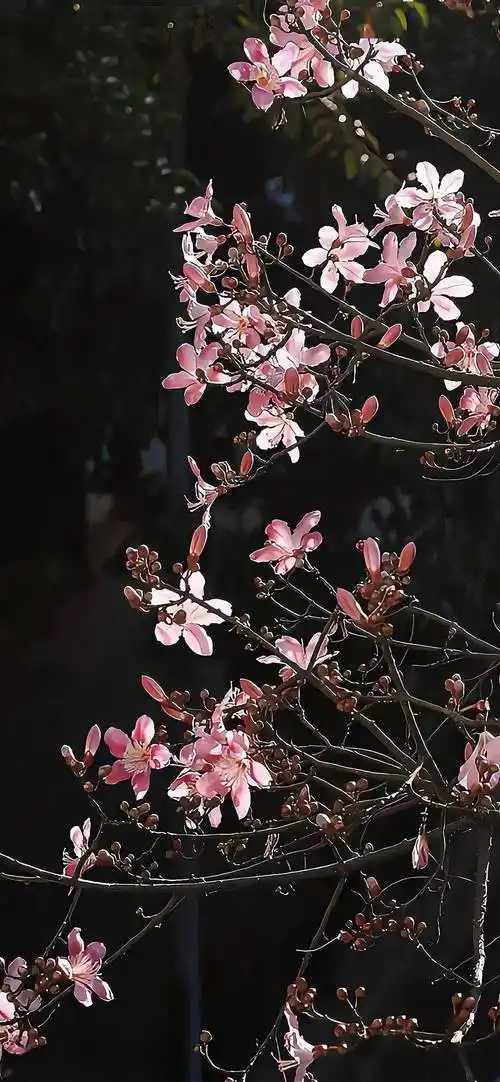 壁纸一看就想换的锁屏壁纸