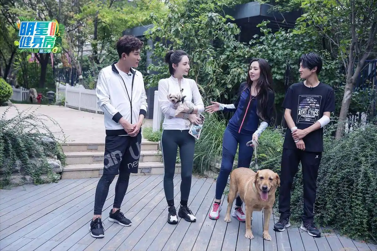 明星健身房郭碧婷曝闺房小怪癖携曾轶可爱犬大玩萌宠运动会