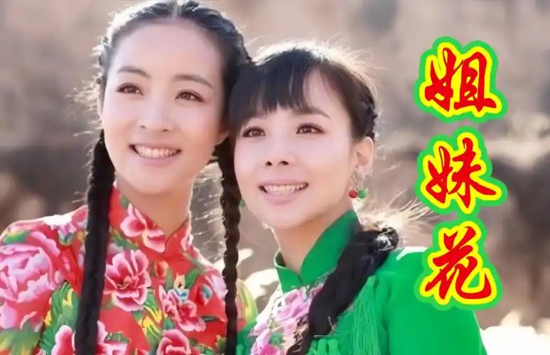 王二妮牵手王小妮合唱《姐妹花》欢快婉转的歌声,太动听了