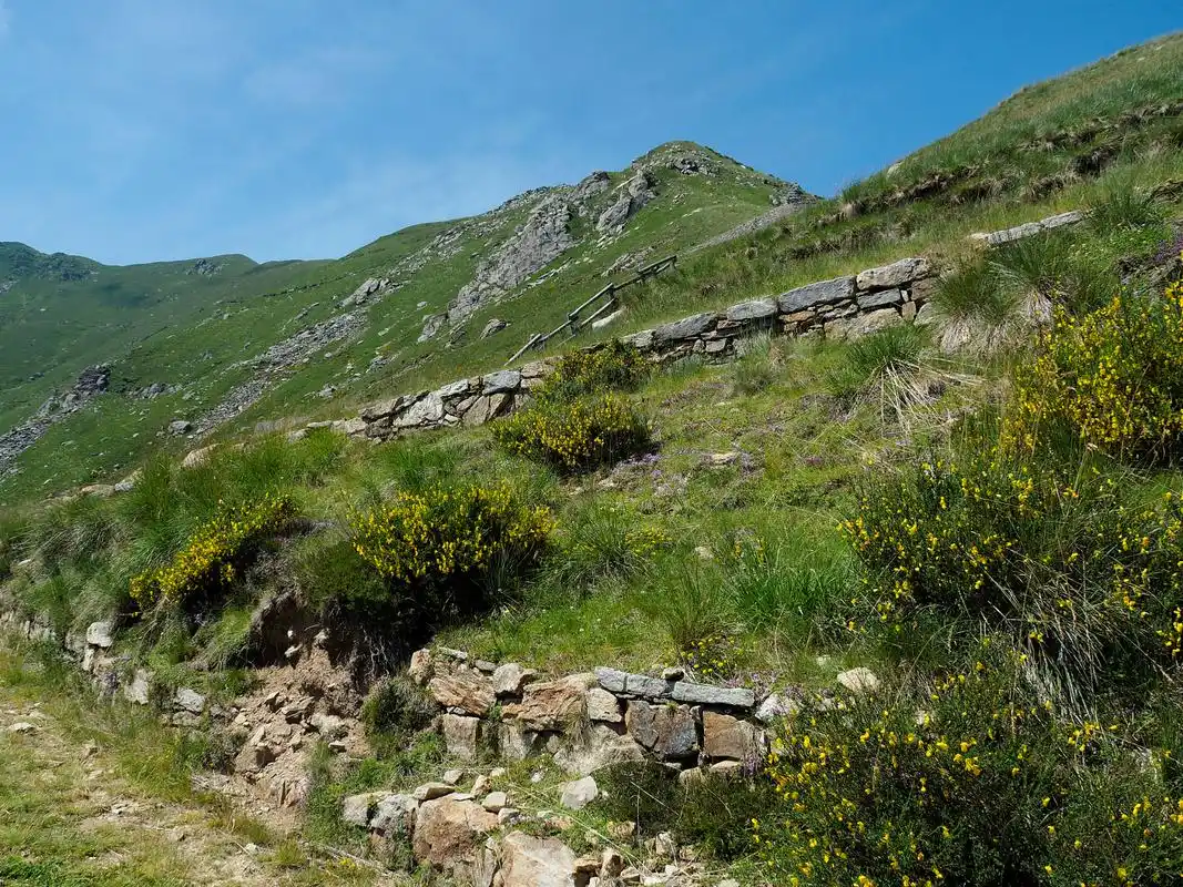 奔赴春天的旅行# 花开伊犁,大西沟福寿山踏青去  春天的伊犁,是一片