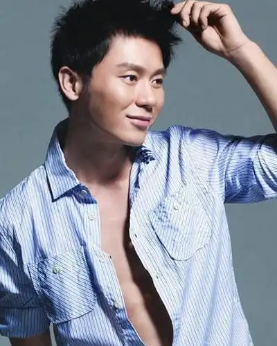 李晨的发型叫什么怎么弄带图