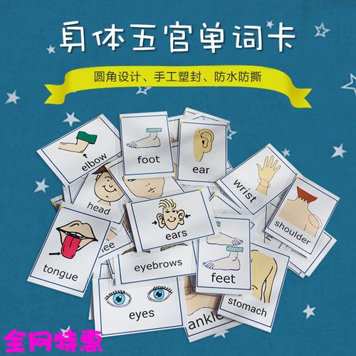 body身体部位五官英文单词大卡片幼儿童英语早教启蒙闪卡教师教具