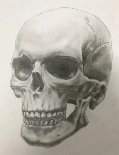 投票|画皮画骨又画心——谁是"2019医科院人体解剖素描绘画高手"?