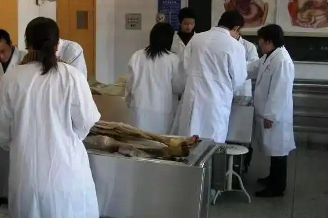 不神秘解剖课的那些事儿