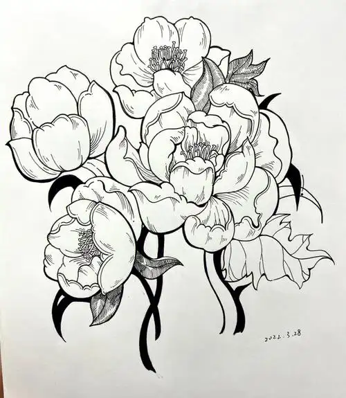 考研手绘练习线条