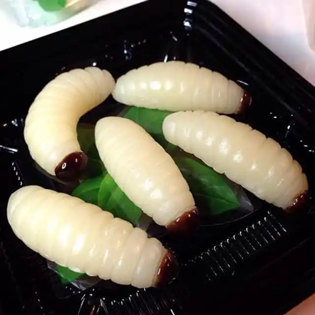 奇葩糖果造型的世界,只有你想不到的,没有你吃不到的.