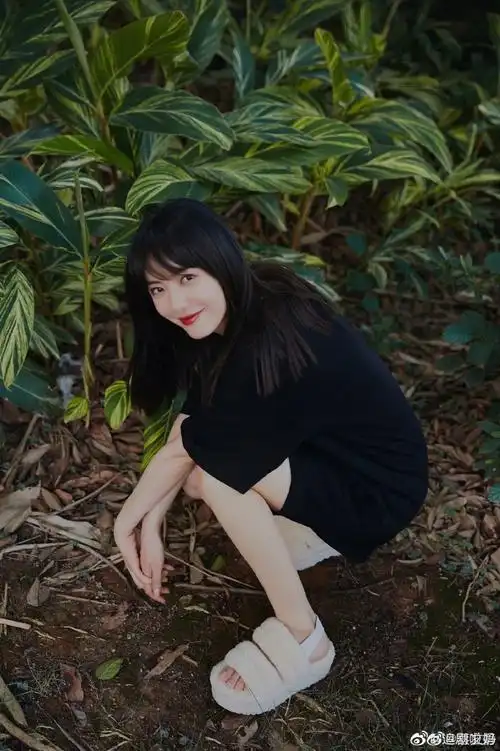 蔡文静自己接档自己