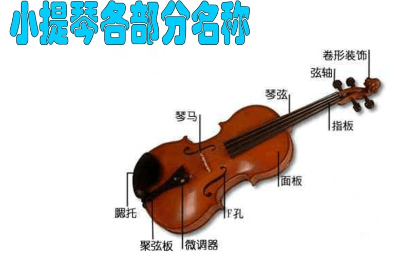 小提琴的四根弦和实际音高