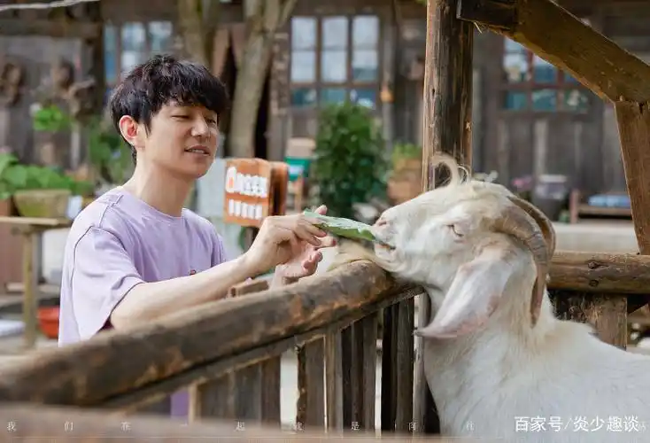 谈《向往的生活5》:能成为一部好综艺,离不开节目组的良苦用心