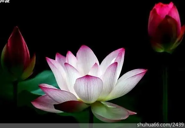 净空法师佛学讲义录/82 钱财的奥秘,天道的规律