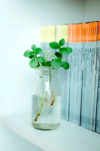 随手拍的小物件