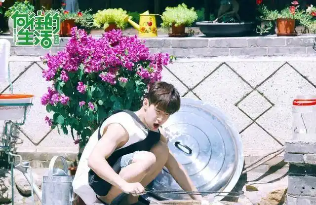 宋丹丹,陈赫做客《向往的生活》,爆笑连连,大华缺席很可惜