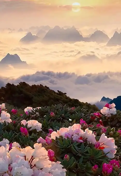 一曲美丽的神话,带你进入梦幻般的仙境!