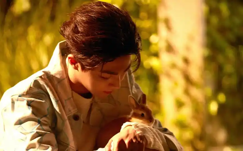 陈立农《我梦见你》mv花絮桌面壁纸