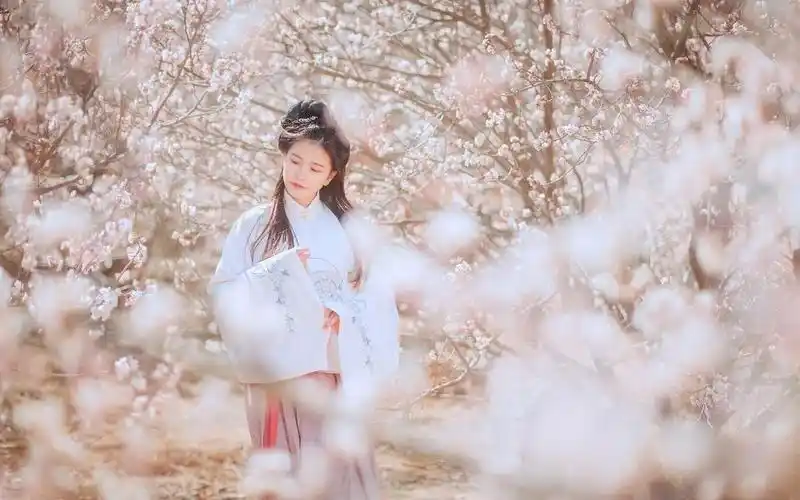 樱花树下的白衣古装美女子
