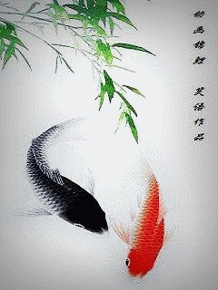 精美的动态国画(花,鸟,鱼,虫 类六)