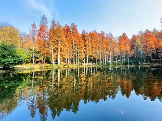 打卡波尔登森林公园