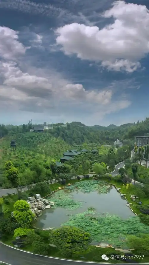 王青山,御景林山庄老板,我们的相识相当有趣!