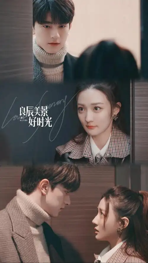 5部姐弟恋题材电视剧盘点超甜爱恋带来最甜蜜的治愈能量