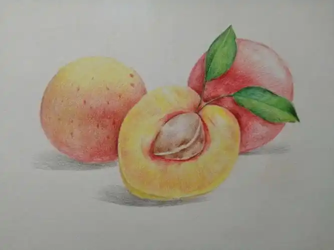 彩铅桃子步骤图