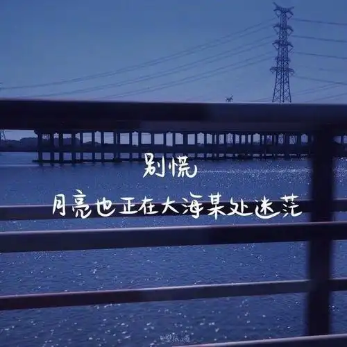 能让自己释怀的心情句子,睿智满满,越看越喜欢