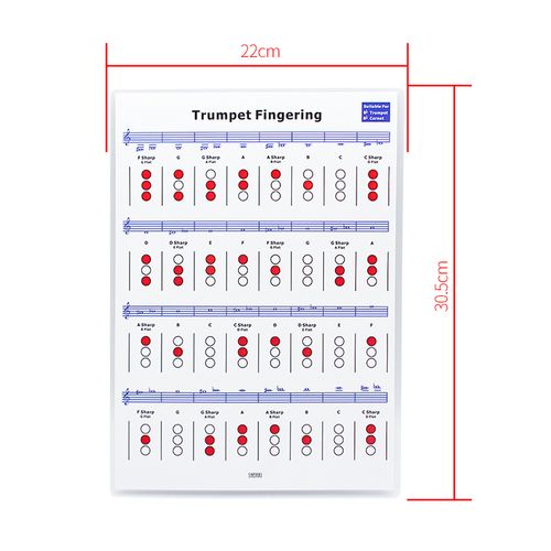 乐器和弦指法图解 指板音名图音阶吉他钢琴贝斯萨克斯 小号指法图