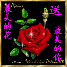 鲜花送花动图美丽gif动图_动态图_表情包下载_soogif