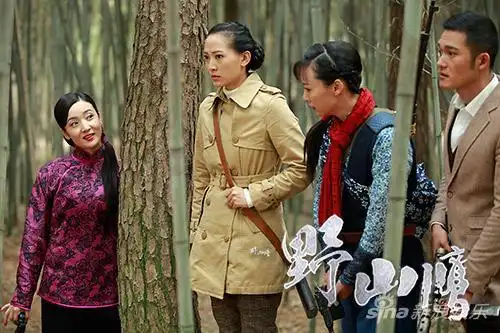 杨舒野山鹰野路子奇招怪式闯战场