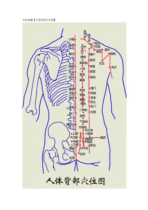 中医拔罐人体背部穴位图.doc_第1页
