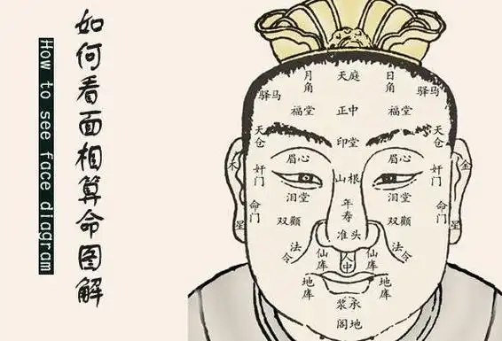 八字面相解密揭秘人生命运与性格的秘密-星空运势网