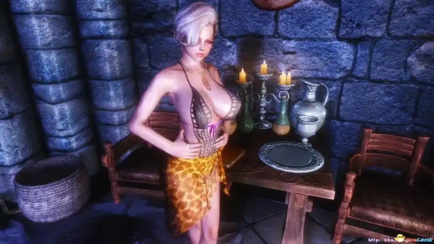 上古卷轴5改衣店入侵天际系列成衣店性感服装mod