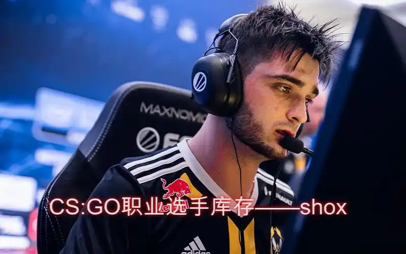 cs:go职业选手库存——shox(part 1)_csgo
