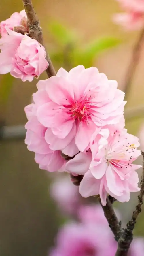 1600_2840竖版 竖屏